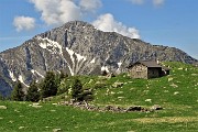 22 Baita di Monte Campo (1878 m) sullo sfondo il Pizzo di Roncobello in Menna